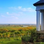 Les transactions de domaines viticoles en Languedoc-Roussillon