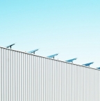 Investir dans les panneaux solaires : quels avantages pour votre entreprise ?