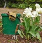 Les meilleurs conseils de jardinage pour les débutants