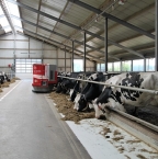 Investir dans la construction d’un bâtiment d’élevage moderne : un choix stratégique pour l’avenir agricole