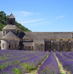 Location maison dans le Vaucluse : quels frais prévoir ?